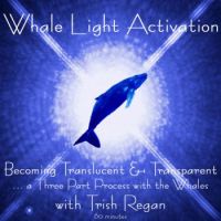 Whale Light Activation Process